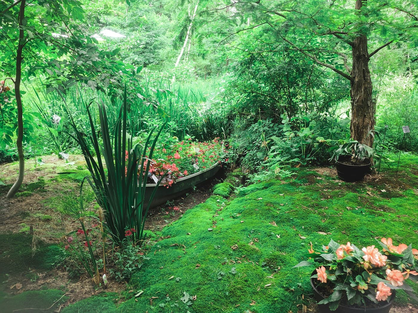 Landscaped garden with neat planting